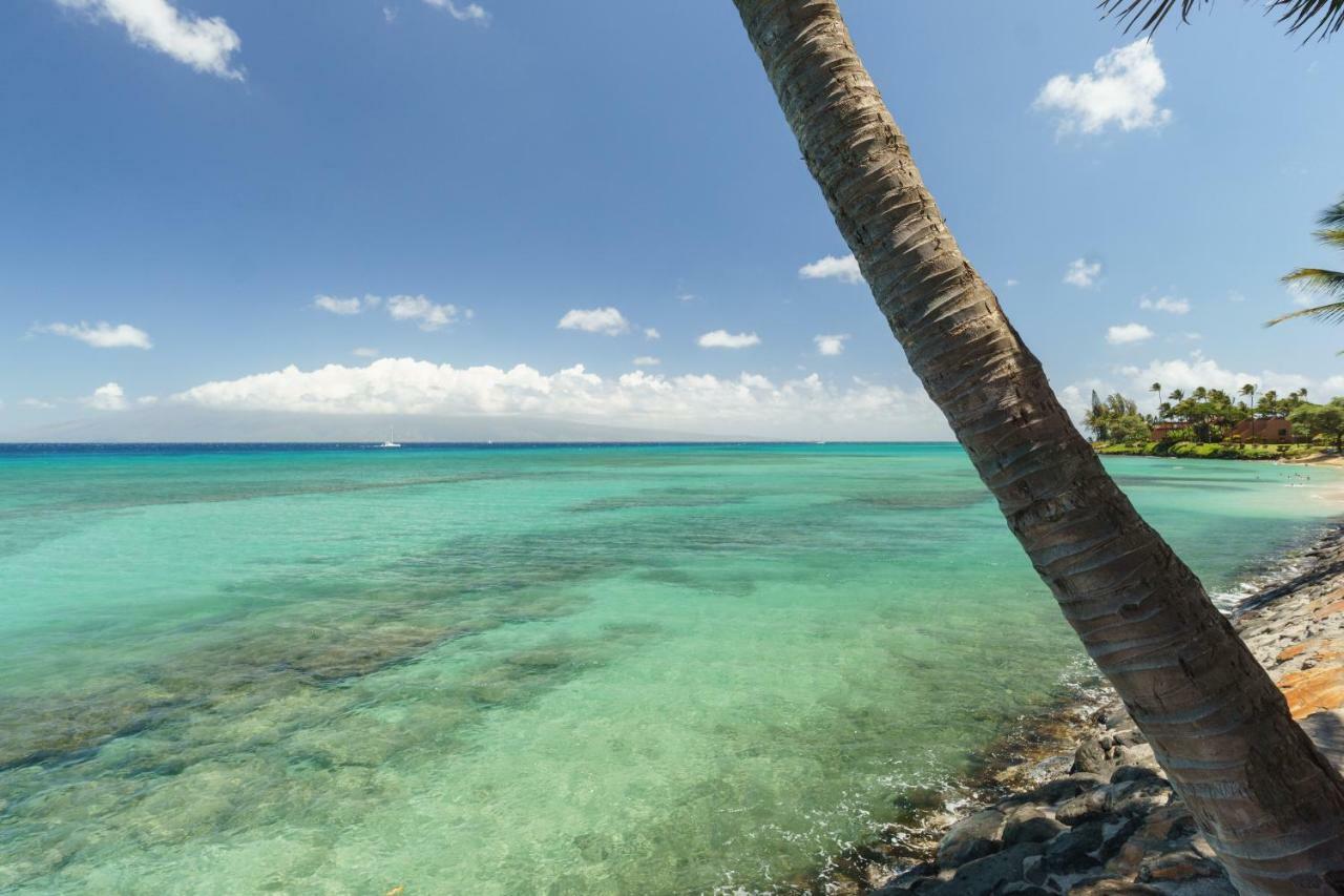 Апартаменты Hale Ono Loa 208 Napili-Honokowai Экстерьер фото